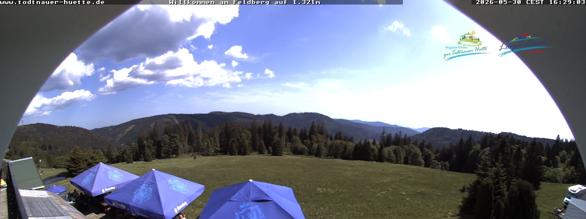 Archiv Foto Webcam Todtnauer Hütte, Schwarzwald