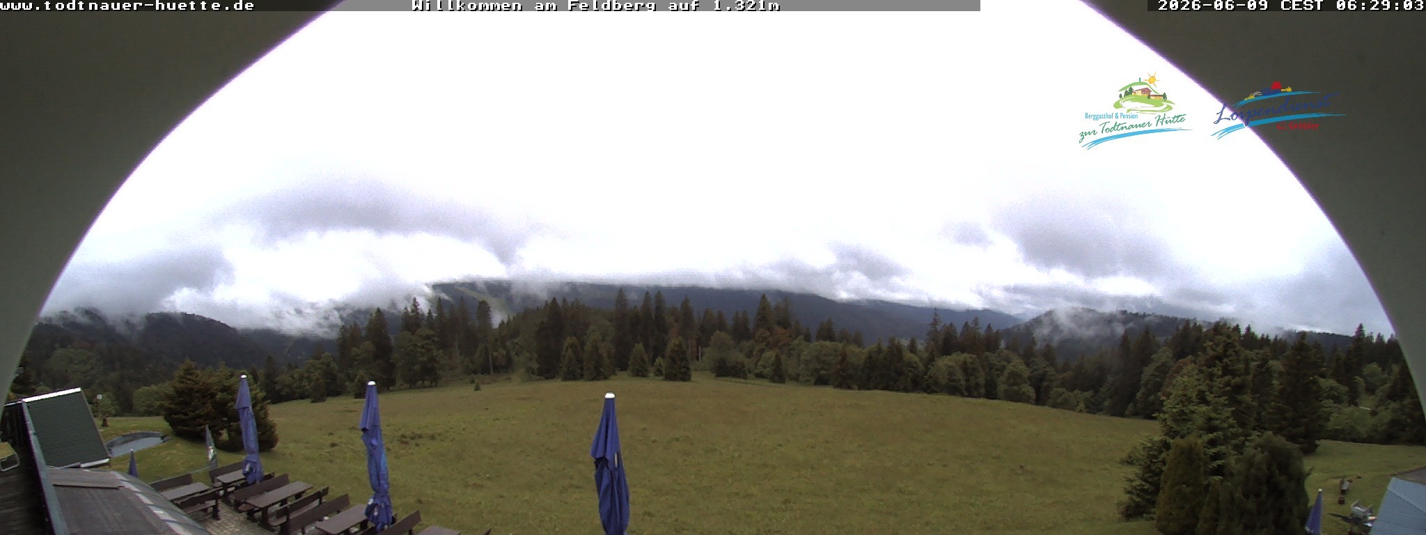 Archiv Foto Webcam Todtnauer Hütte, Schwarzwald