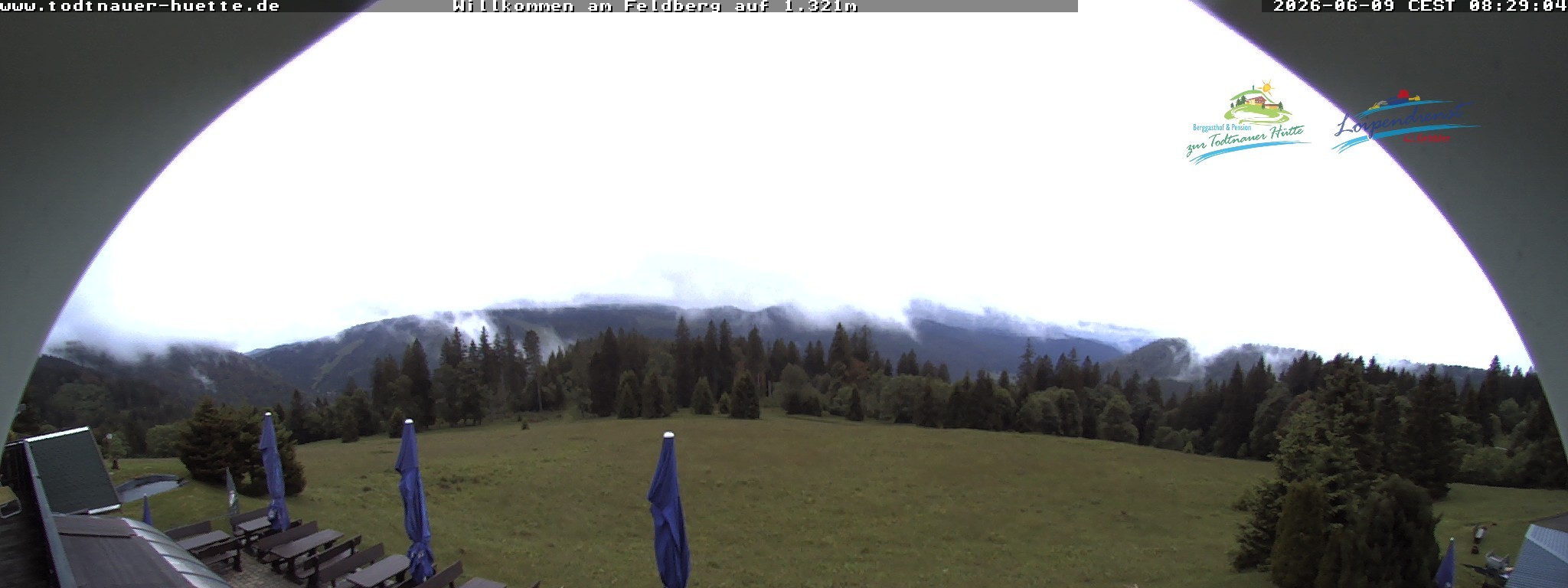 Archiv Foto Webcam Todtnauer Hütte, Schwarzwald