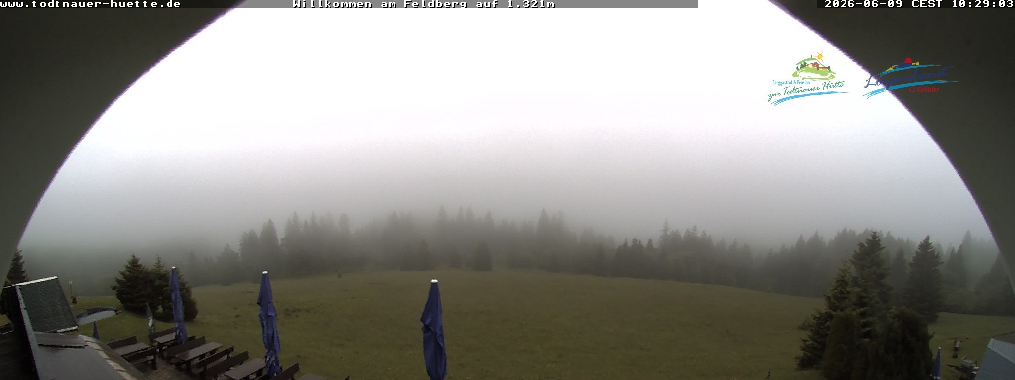 Archiv Foto Webcam Todtnauer Hütte, Schwarzwald