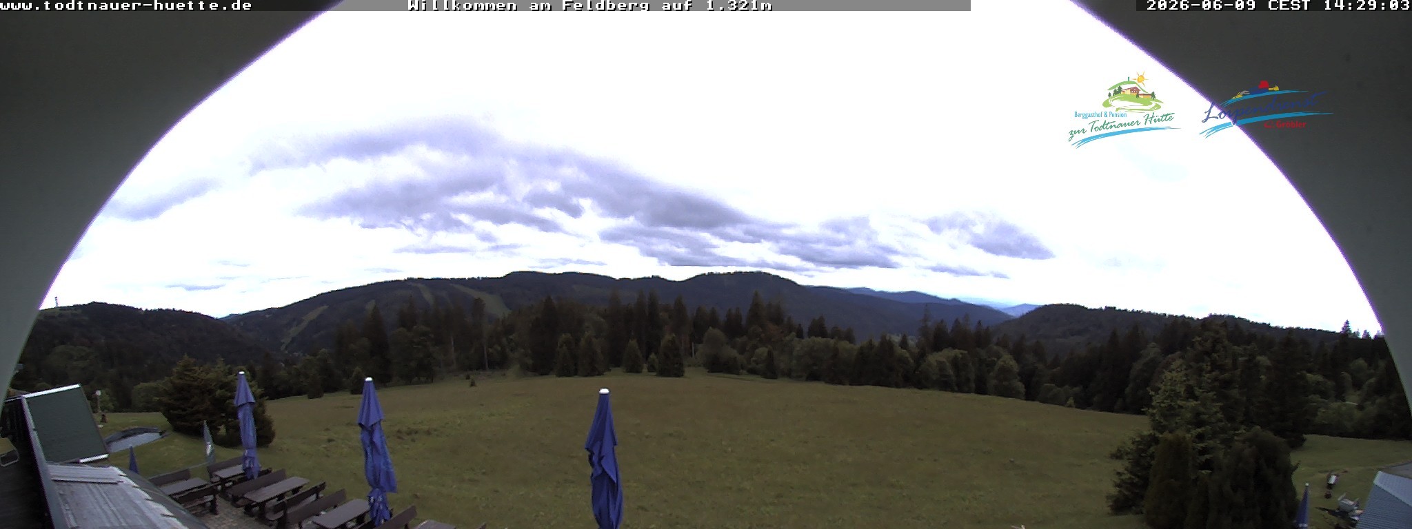 Archiv Foto Webcam Todtnauer Hütte, Schwarzwald