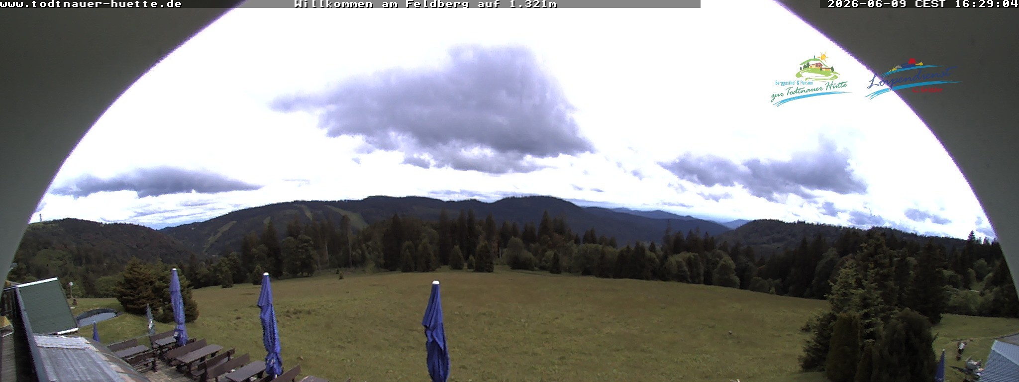 Archiv Foto Webcam Todtnauer Hütte, Schwarzwald
