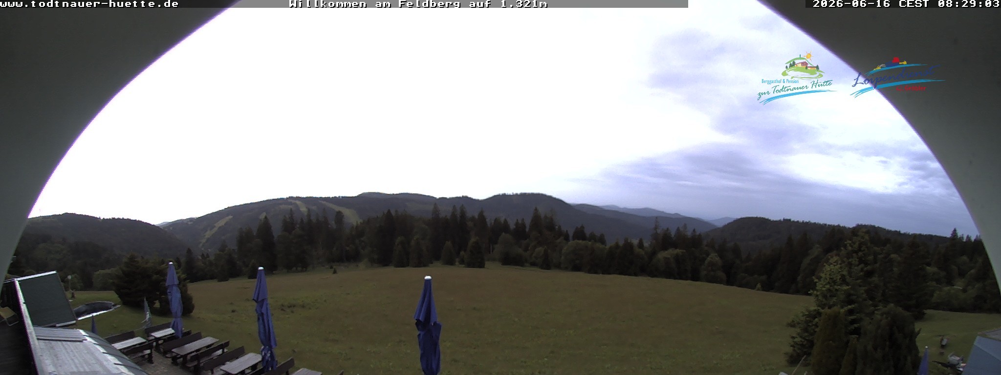 Archiv Foto Webcam Todtnauer Hütte, Schwarzwald