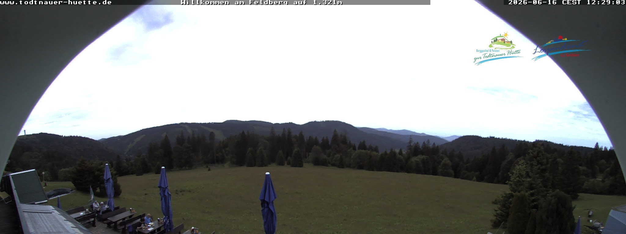 Archiv Foto Webcam Todtnauer Hütte, Schwarzwald