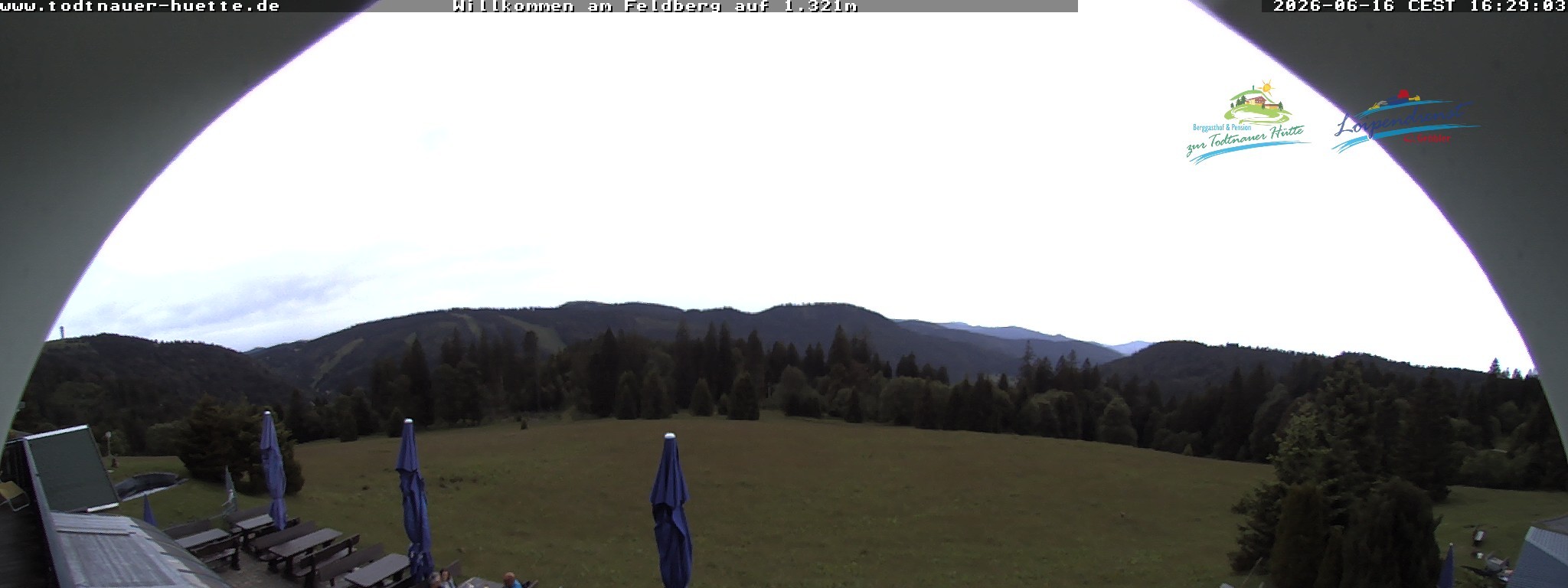 Archiv Foto Webcam Todtnauer Hütte, Schwarzwald