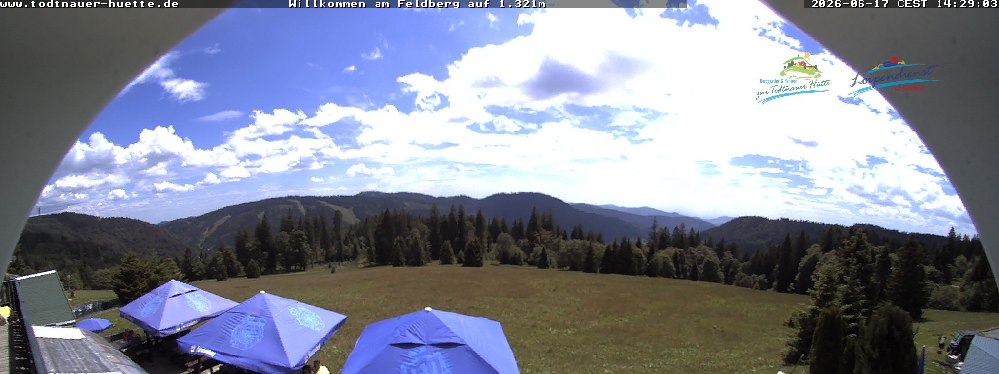 Archived image Webcam Todtnau mountain hut, Black Forest