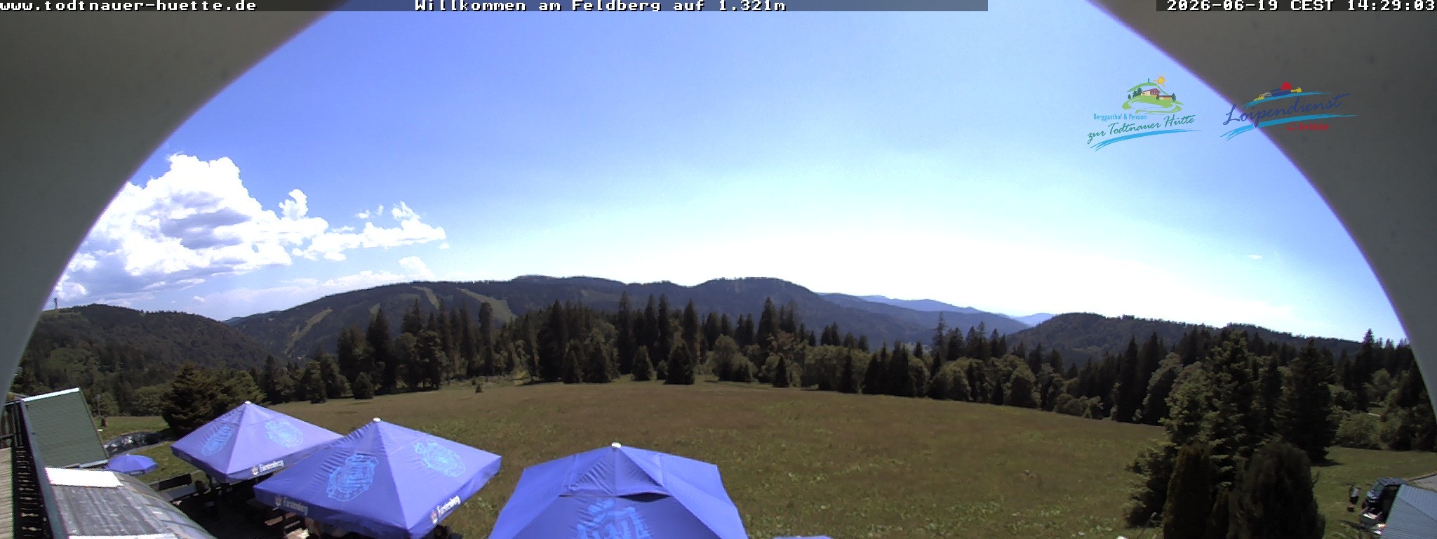 Archiv Foto Webcam Todtnauer Hütte, Schwarzwald