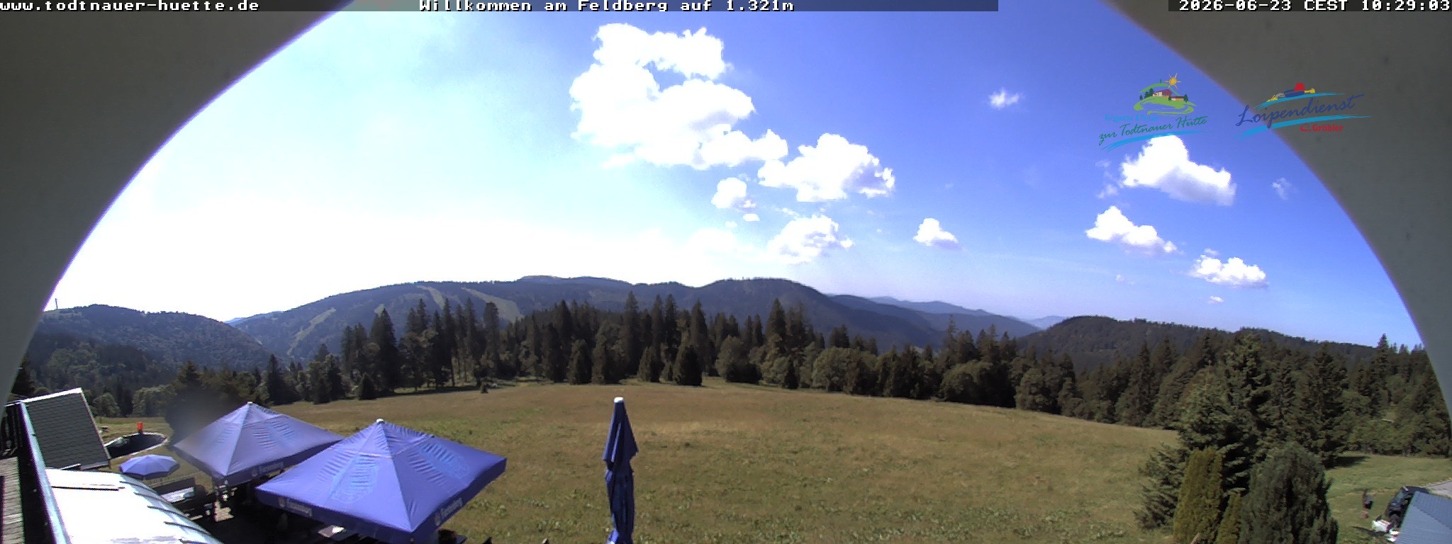Archiv Foto Webcam Todtnauer Hütte, Schwarzwald
