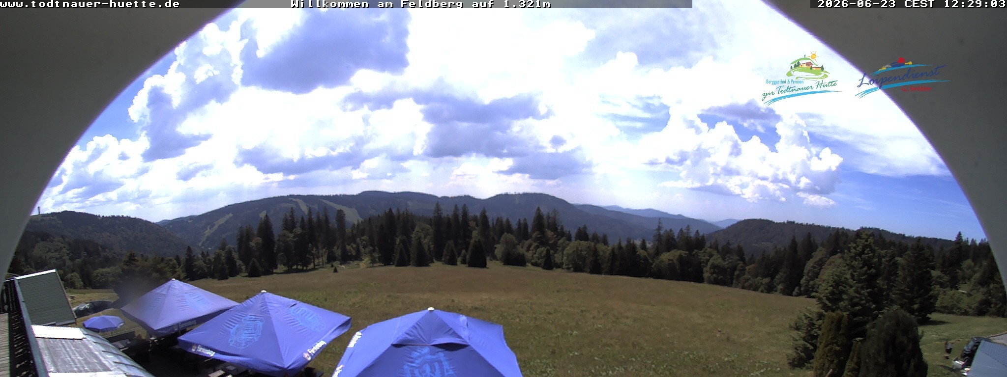 Archiv Foto Webcam Todtnauer Hütte, Schwarzwald