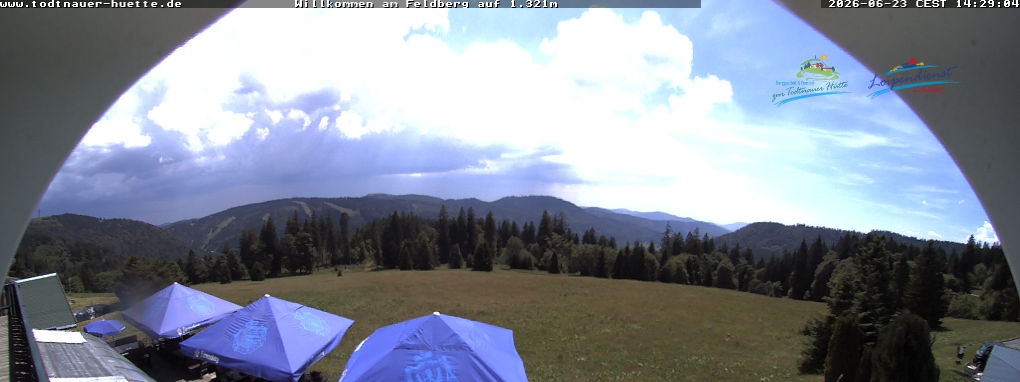 Archiv Foto Webcam Todtnauer Hütte, Schwarzwald