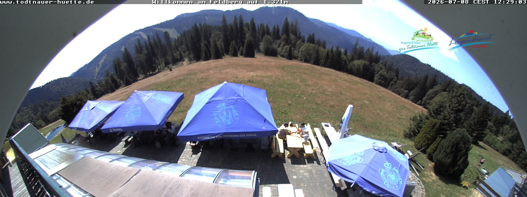 Archived image Webcam Todtnau mountain hut, Black Forest