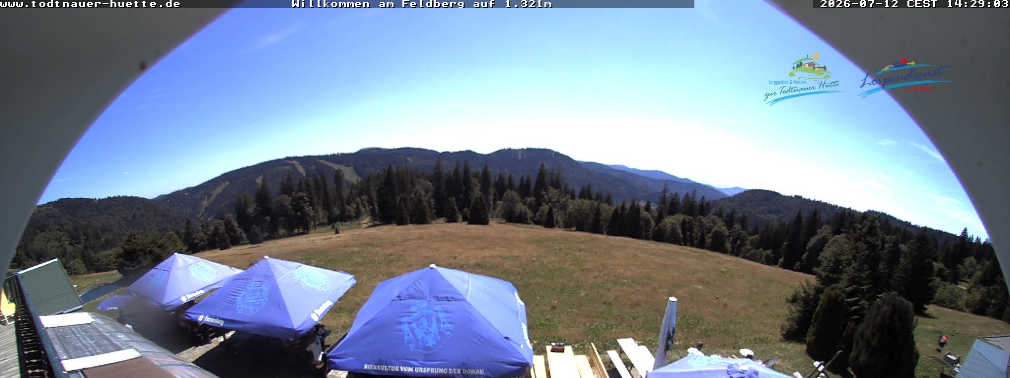 Archived image Webcam Todtnau mountain hut, Black Forest