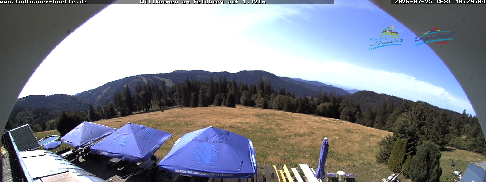 Archiv Foto Webcam Todtnauer Hütte, Schwarzwald