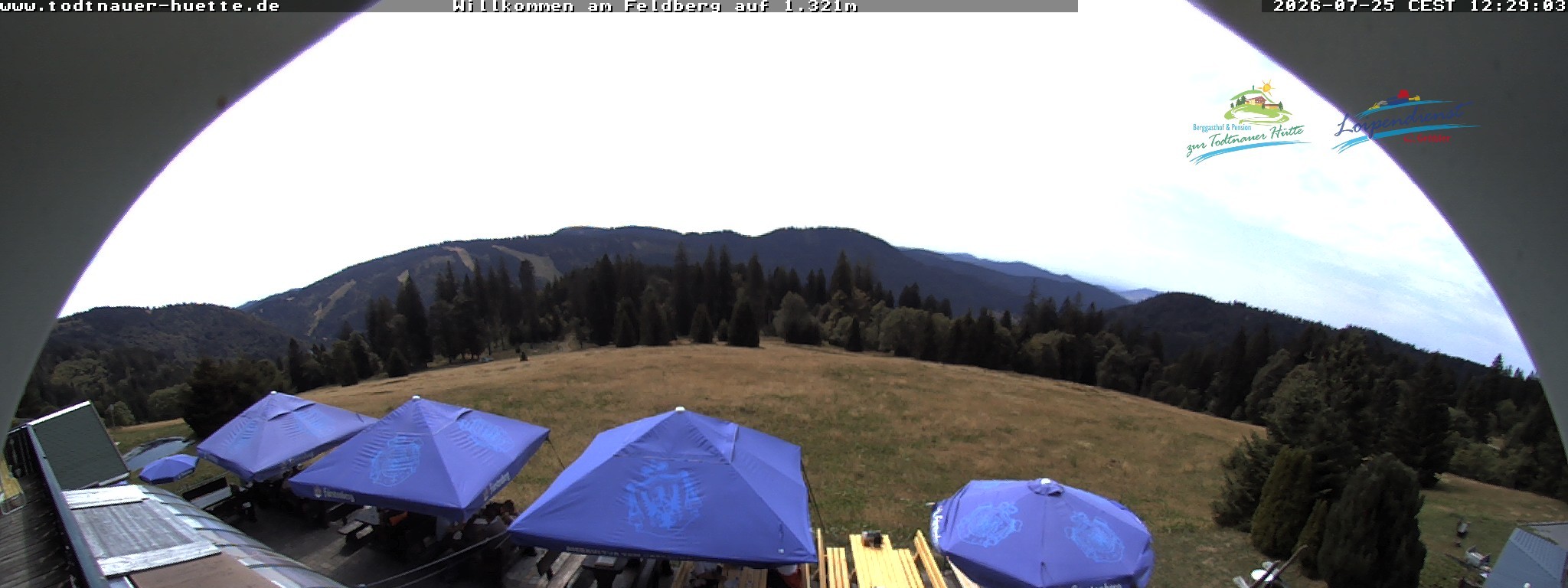Archiv Foto Webcam Todtnauer Hütte, Schwarzwald
