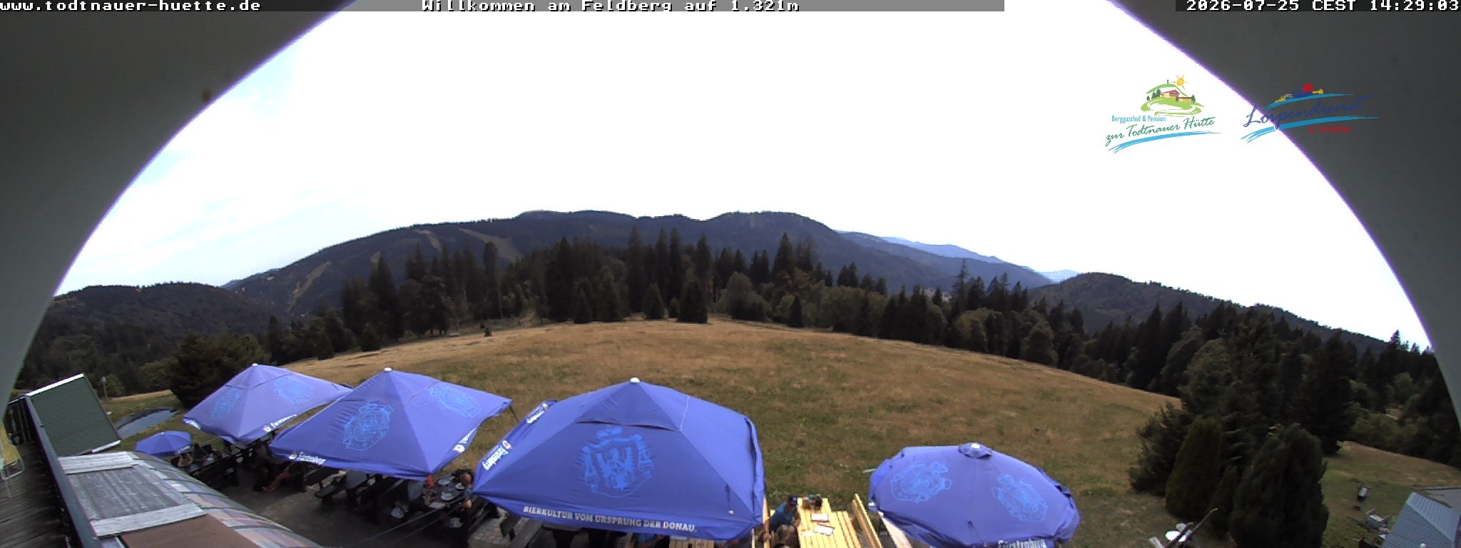 Archiv Foto Webcam Todtnauer Hütte, Schwarzwald