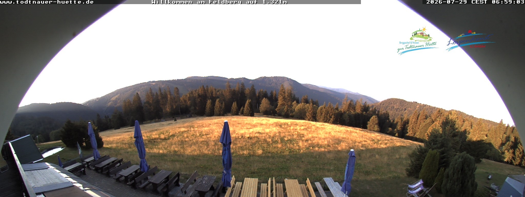 Archiv Foto Webcam Todtnauer Hütte, Schwarzwald