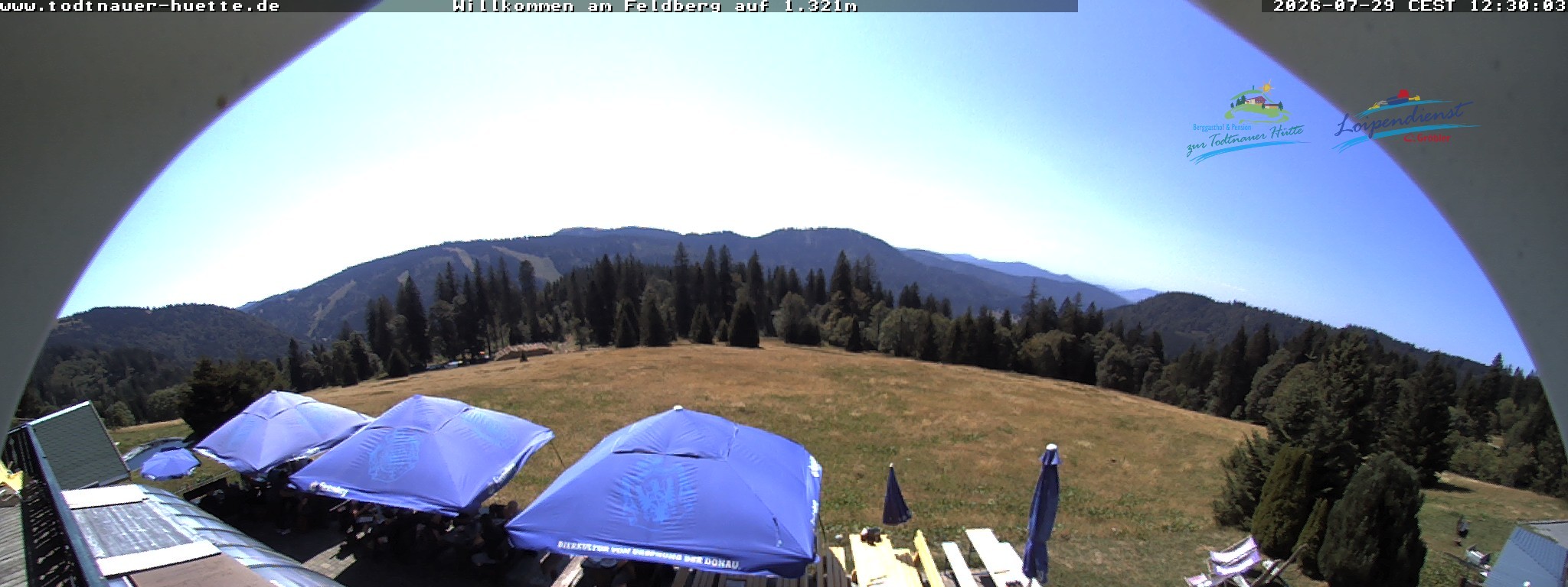 Archiv Foto Webcam Todtnauer Hütte, Schwarzwald