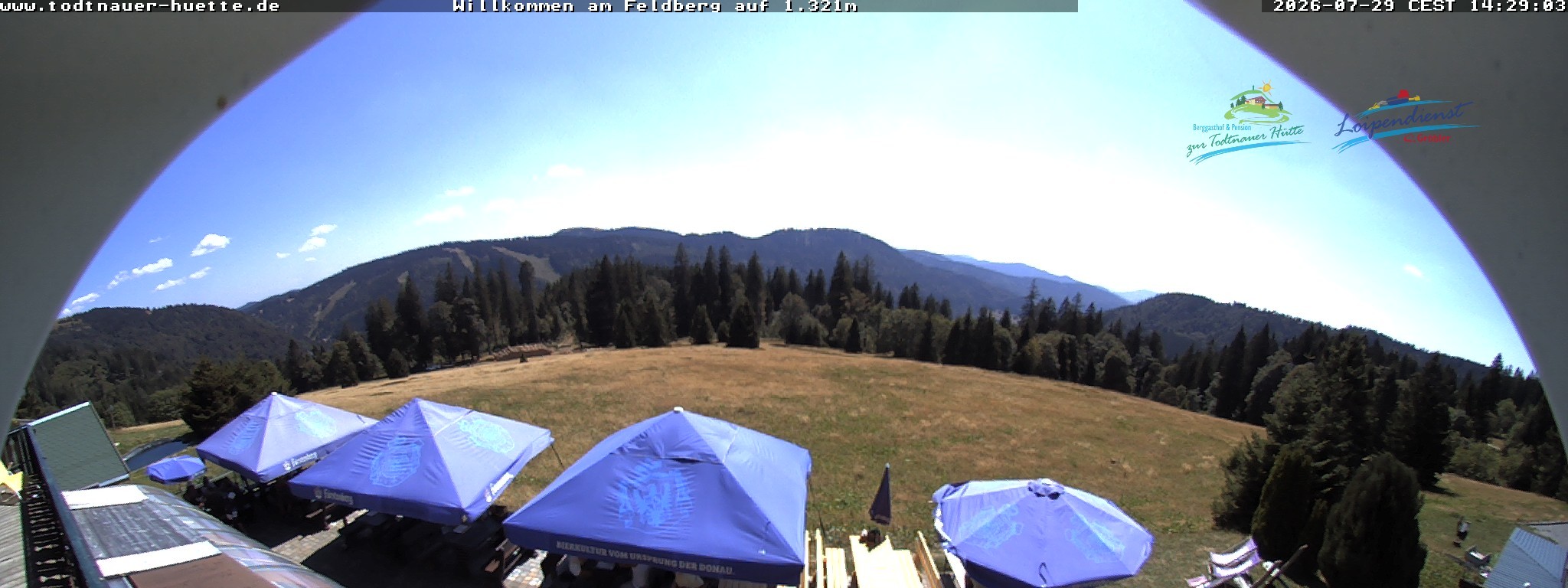 Archiv Foto Webcam Todtnauer Hütte, Schwarzwald