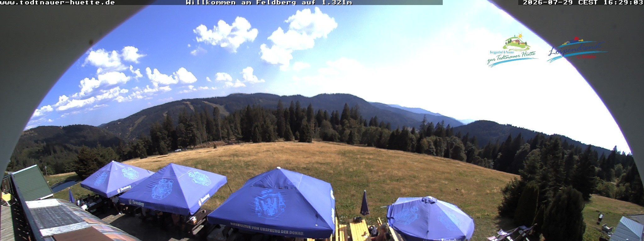 Archiv Foto Webcam Todtnauer Hütte, Schwarzwald