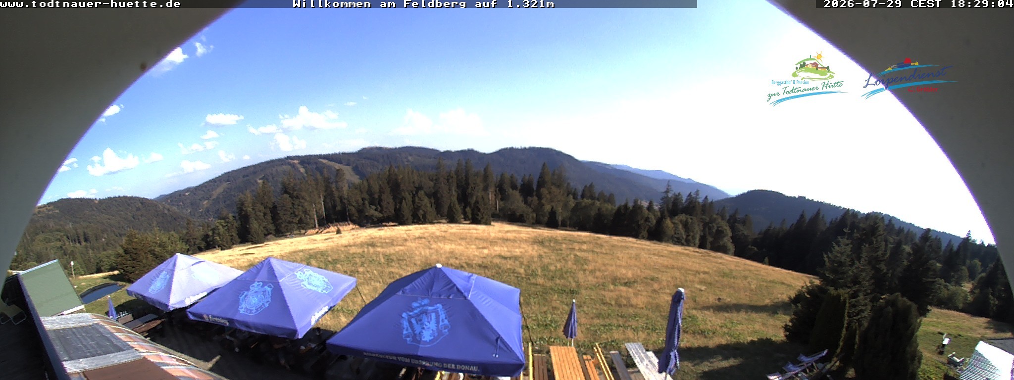 Archiv Foto Webcam Todtnauer Hütte, Schwarzwald