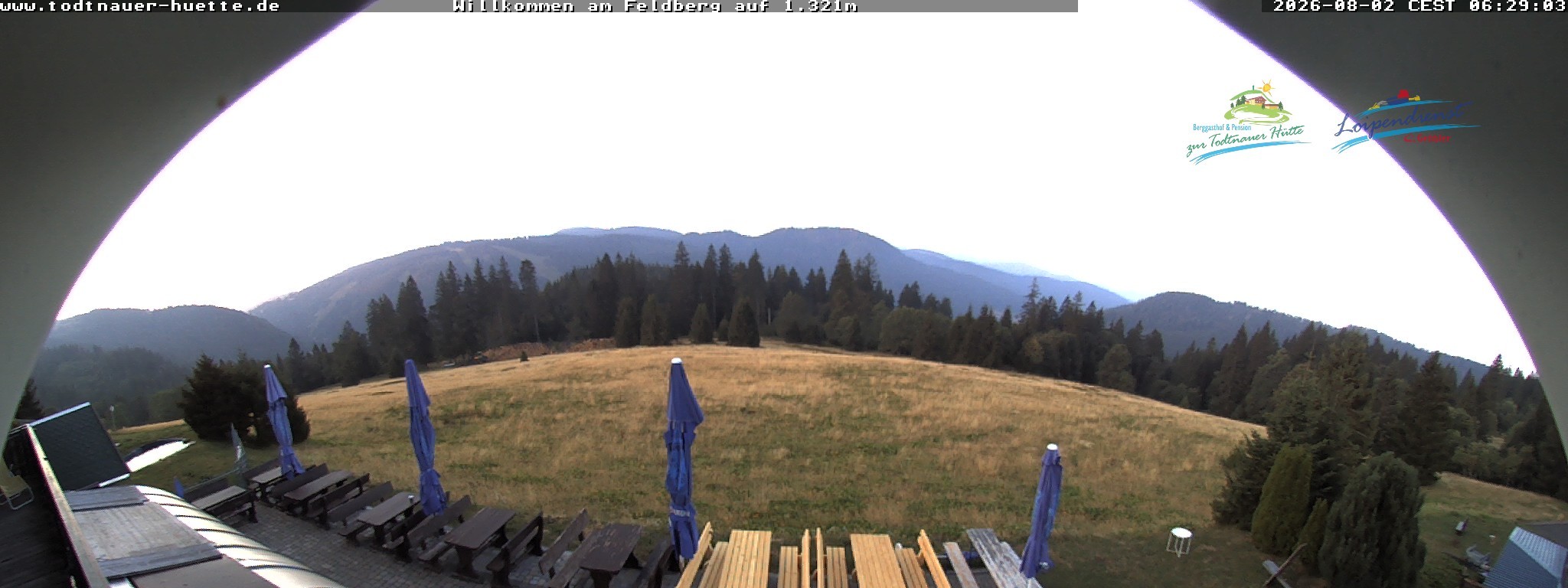 Archiv Foto Webcam Todtnauer Hütte, Schwarzwald