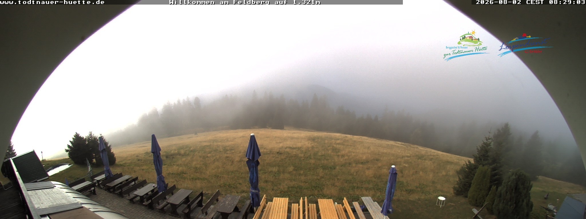 Archiv Foto Webcam Todtnauer Hütte, Schwarzwald