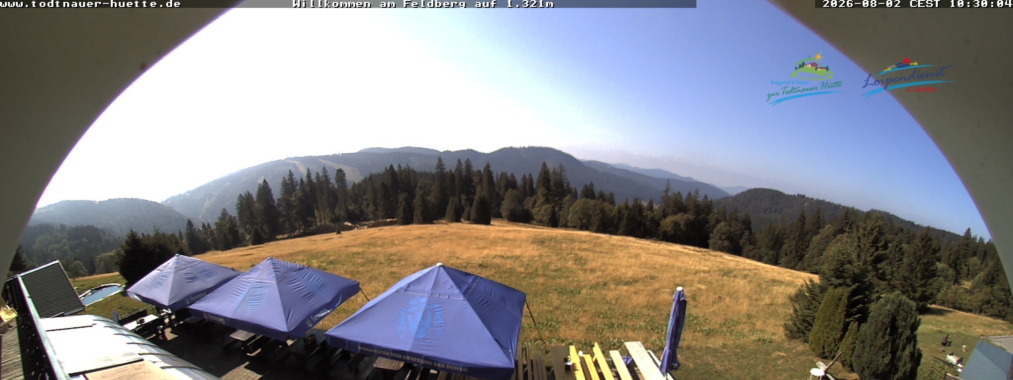 Archived image Webcam Todtnau mountain hut, Black Forest