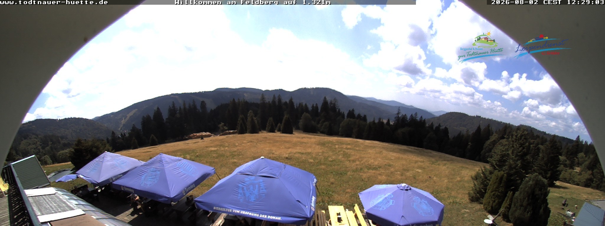 Archived image Webcam Todtnau mountain hut, Black Forest