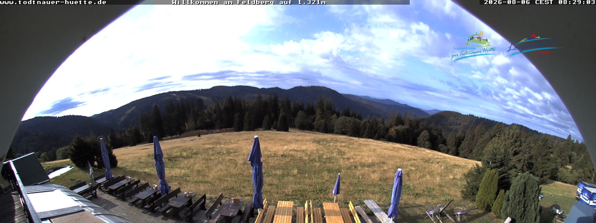 Archiv Foto Webcam Todtnauer Hütte, Schwarzwald