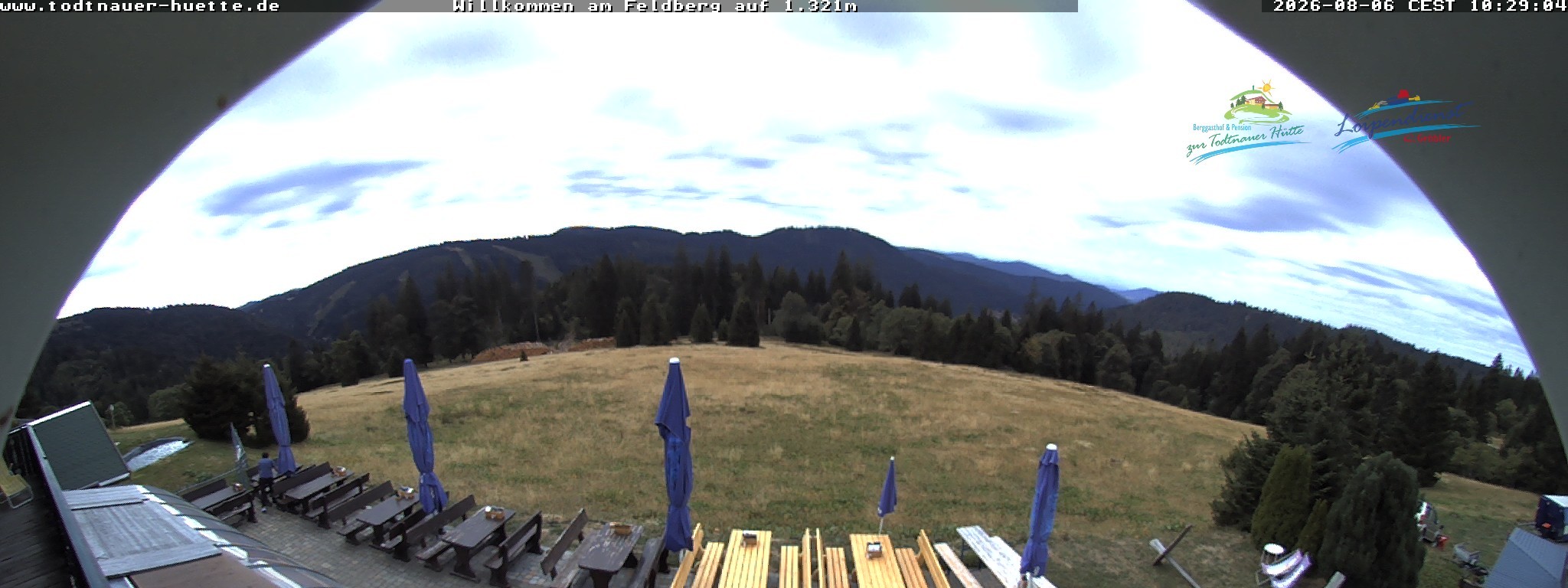 Archiv Foto Webcam Todtnauer Hütte, Schwarzwald