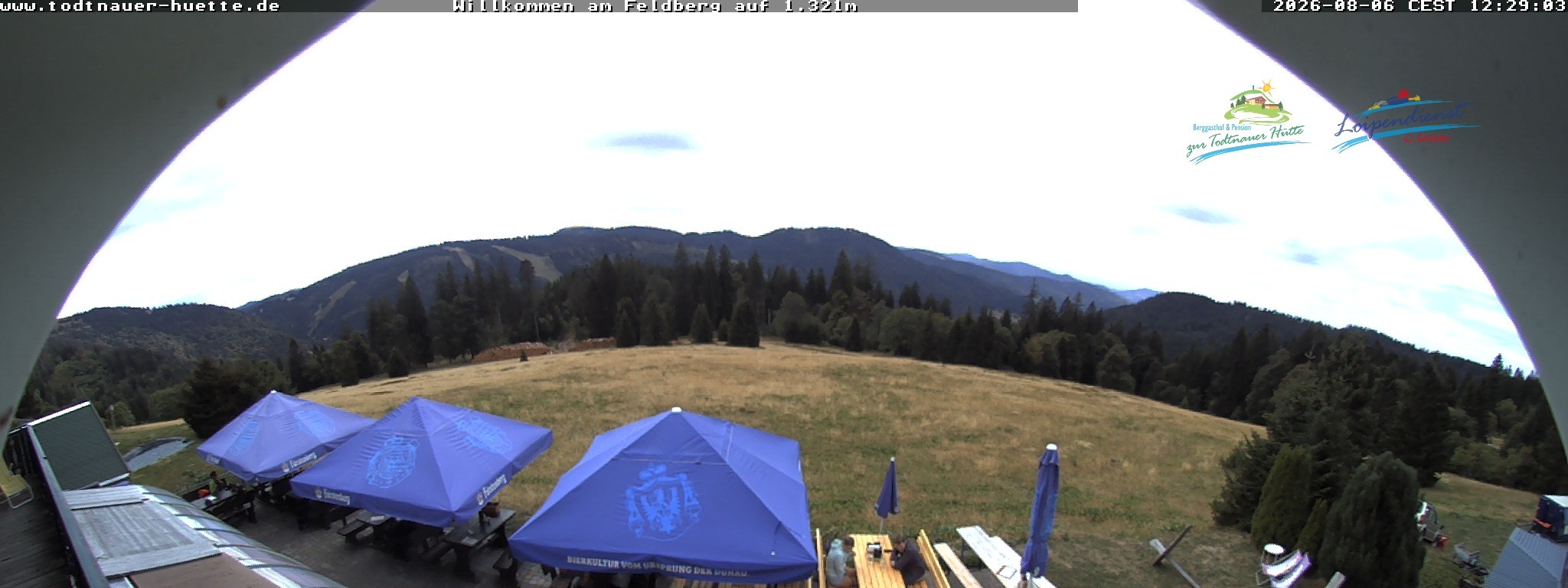 Archiv Foto Webcam Todtnauer Hütte, Schwarzwald