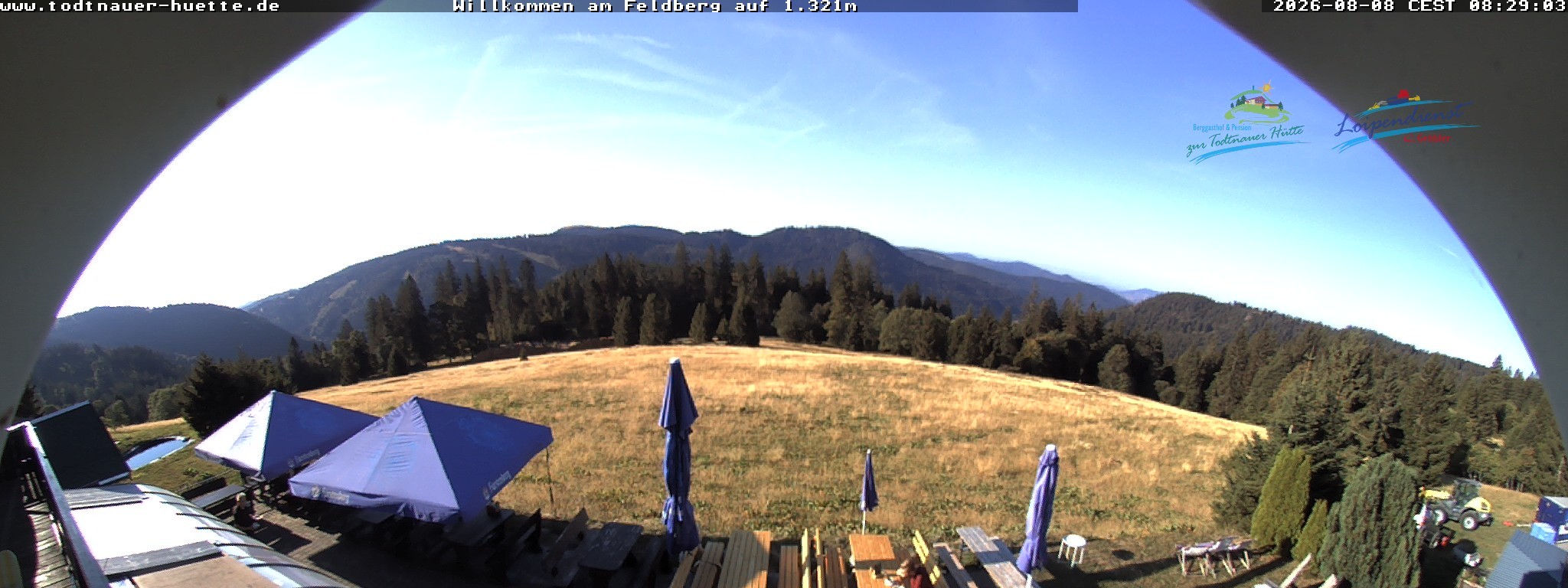 Archiv Foto Webcam Todtnauer Hütte, Schwarzwald