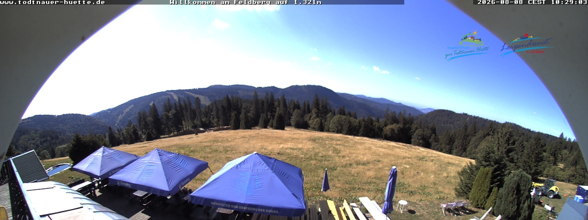 Archiv Foto Webcam Todtnauer Hütte, Schwarzwald