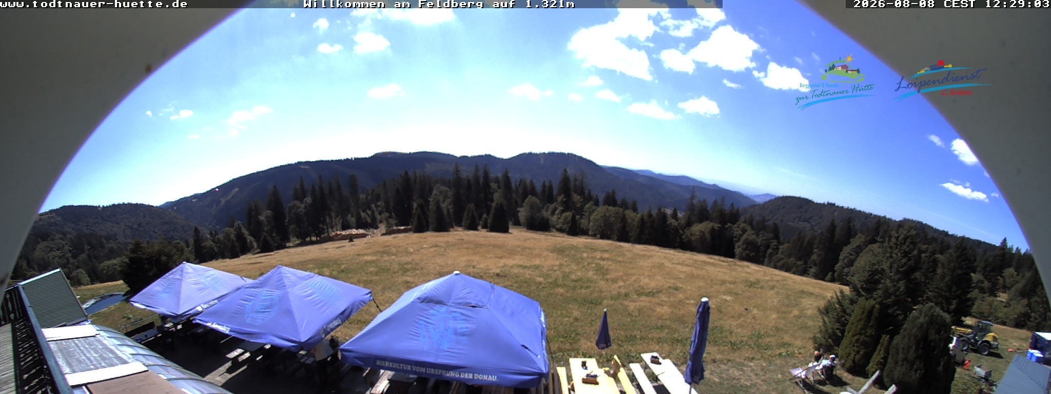 Archived image Webcam Todtnau mountain hut, Black Forest