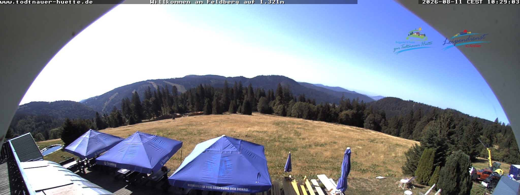 Archiv Foto Webcam Todtnauer Hütte, Schwarzwald