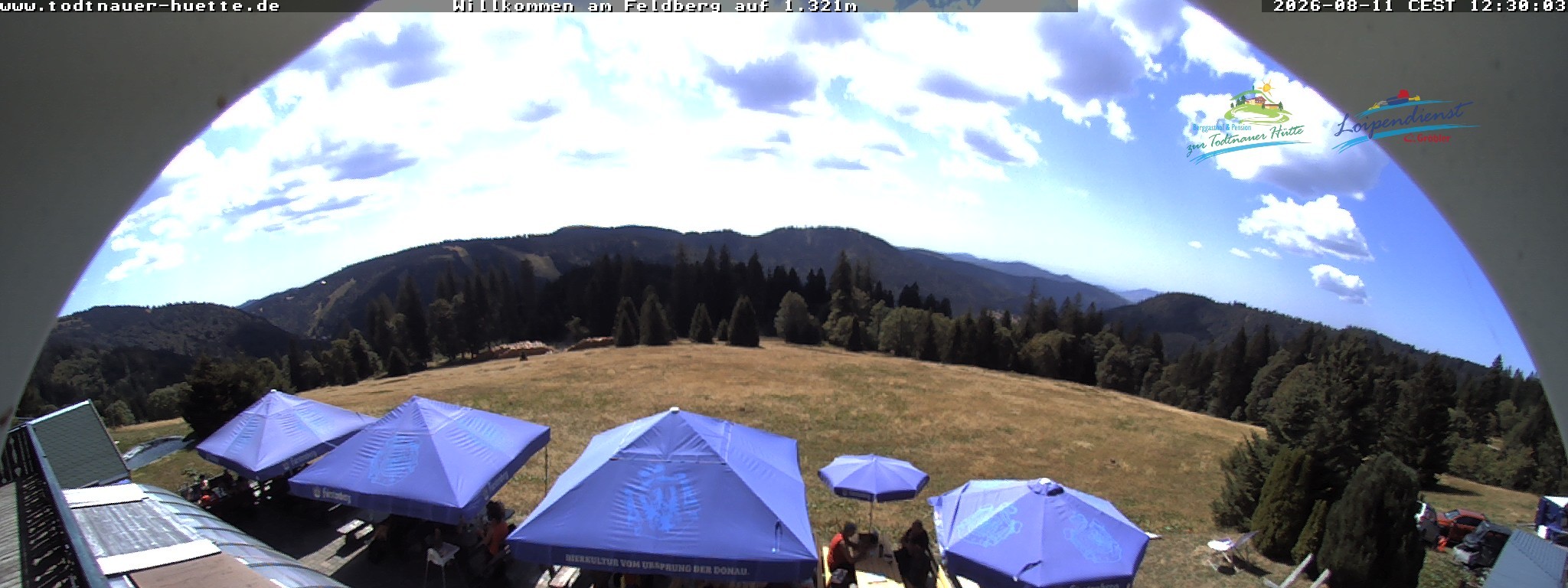 Archiv Foto Webcam Todtnauer Hütte, Schwarzwald