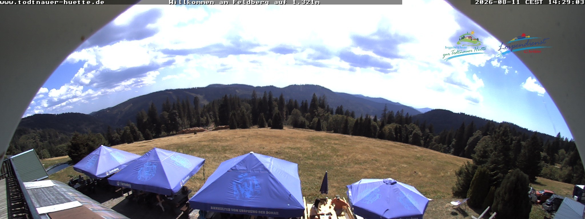 Archiv Foto Webcam Todtnauer Hütte, Schwarzwald