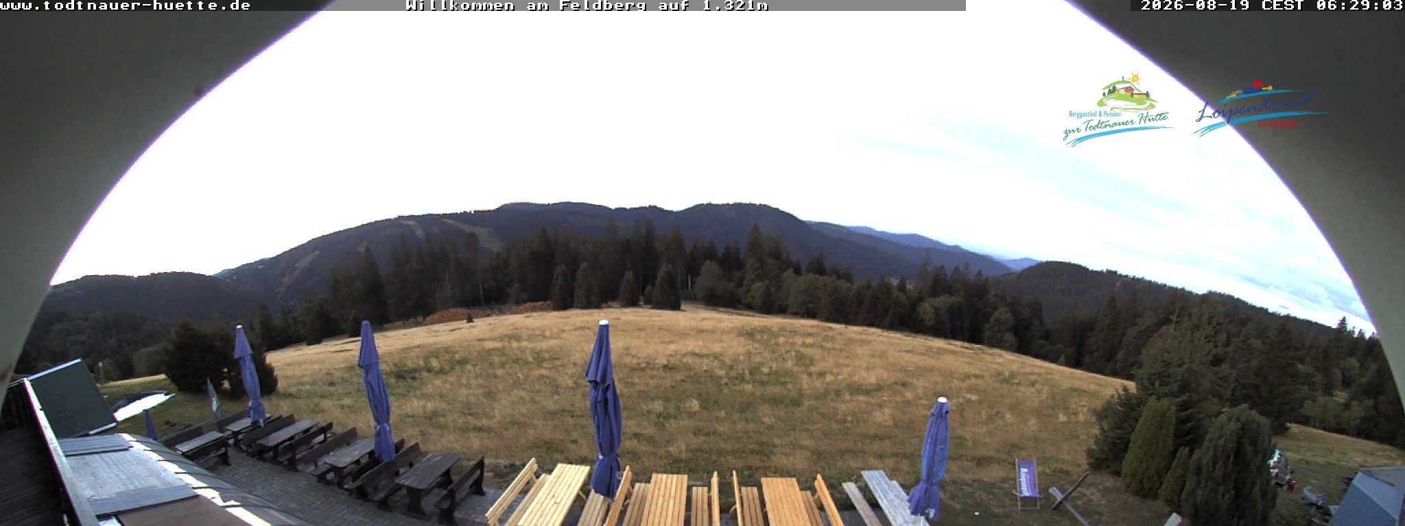 Archiv Foto Webcam Todtnauer Hütte, Schwarzwald