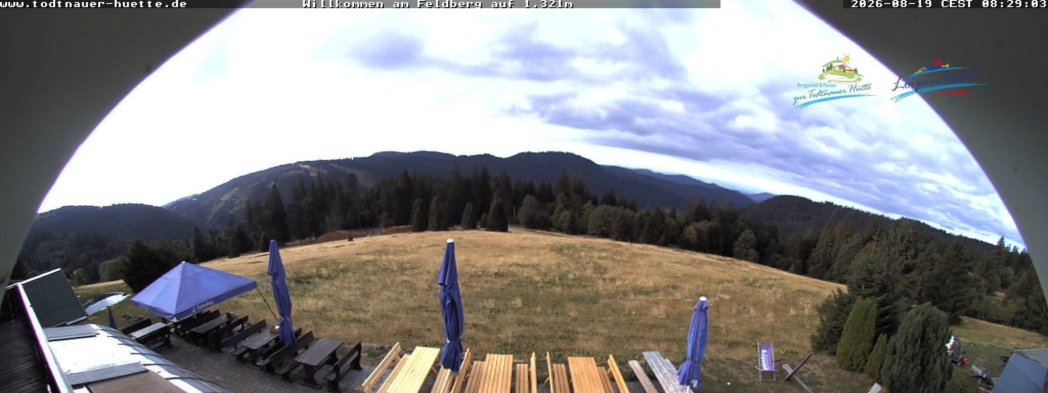 Archiv Foto Webcam Todtnauer Hütte, Schwarzwald