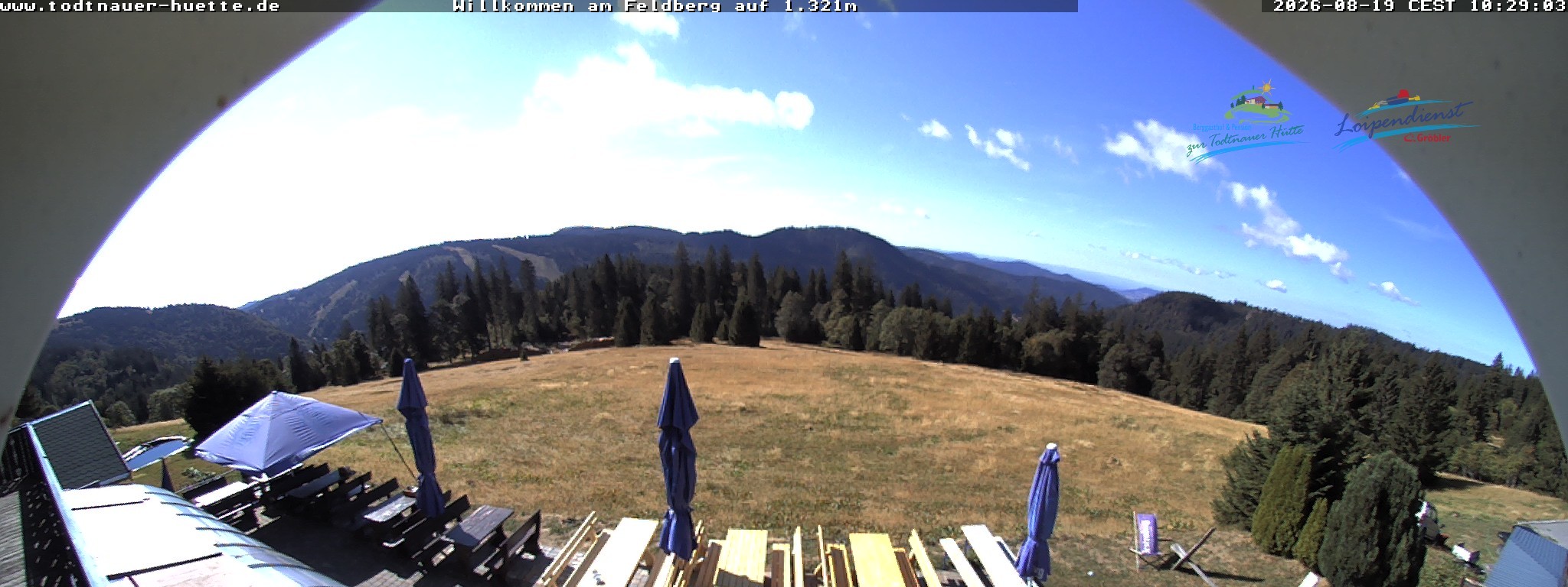 Archiv Foto Webcam Todtnauer Hütte, Schwarzwald