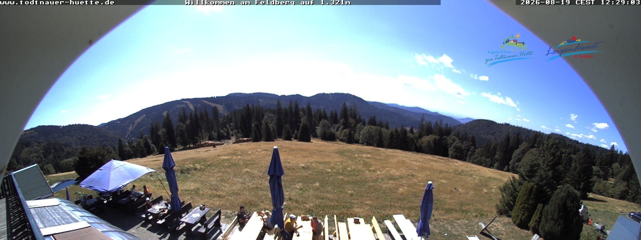Archiv Foto Webcam Todtnauer Hütte, Schwarzwald