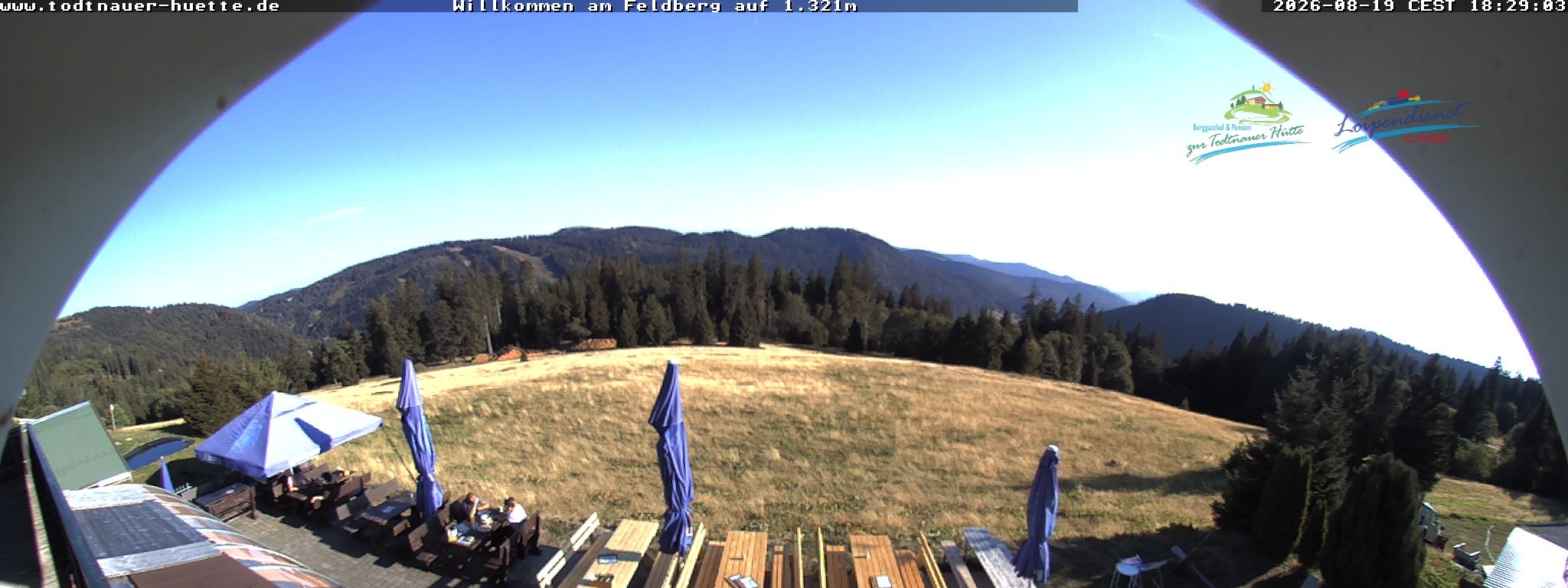 Archiv Foto Webcam Todtnauer Hütte, Schwarzwald