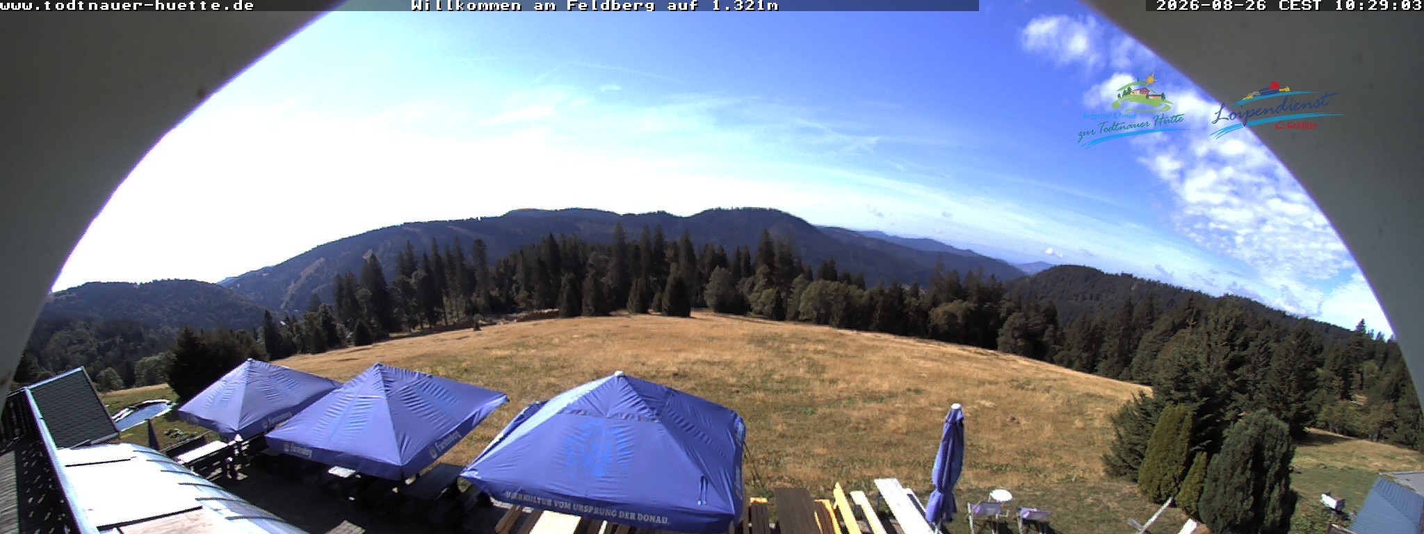 Archived image Webcam Todtnau mountain hut, Black Forest