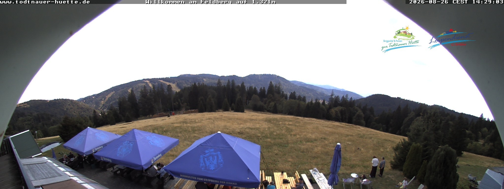 Archived image Webcam Todtnau mountain hut, Black Forest