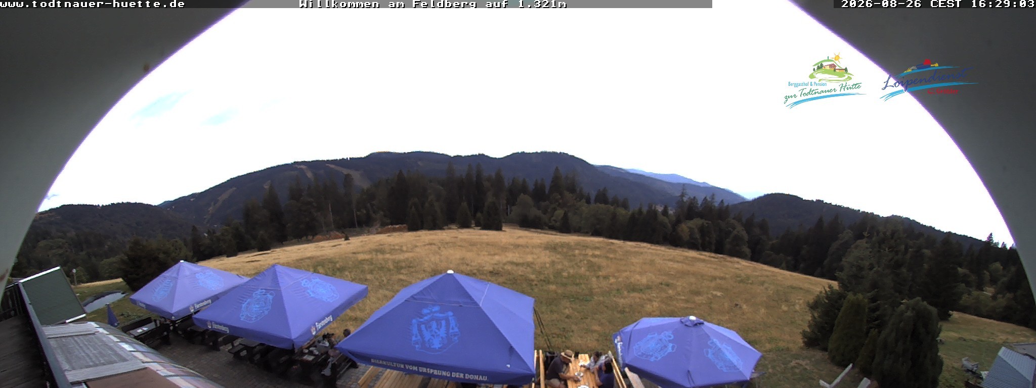 Archived image Webcam Todtnau mountain hut, Black Forest