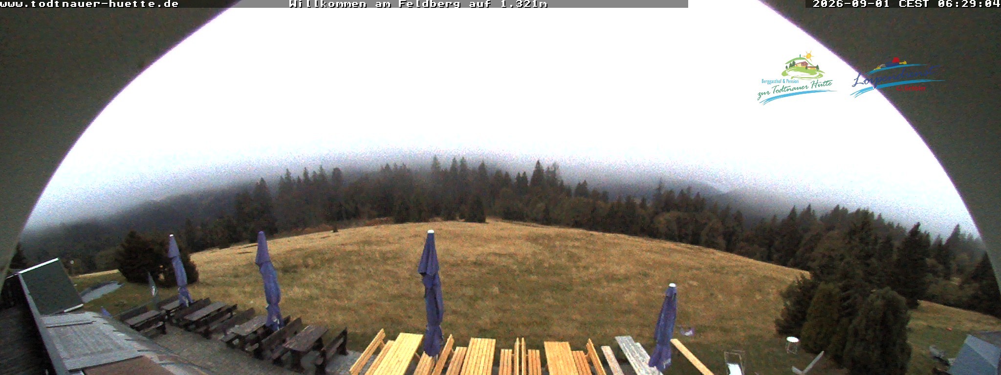 Archived image Webcam Todtnau mountain hut, Black Forest