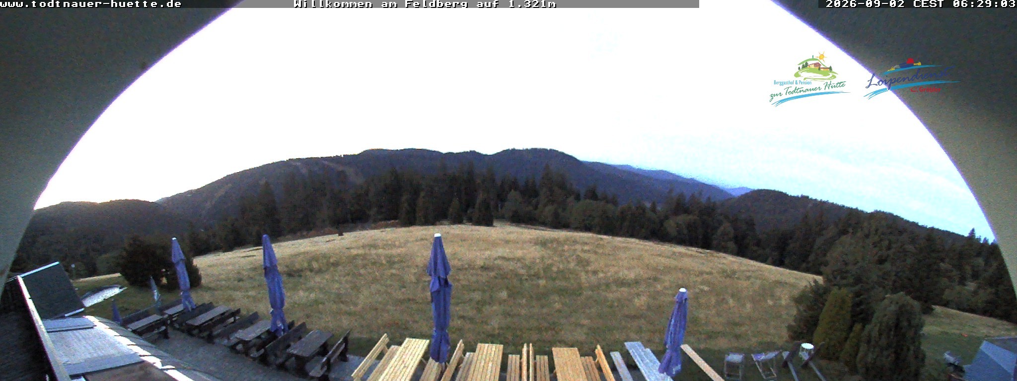 Archiv Foto Webcam Todtnauer Hütte, Schwarzwald