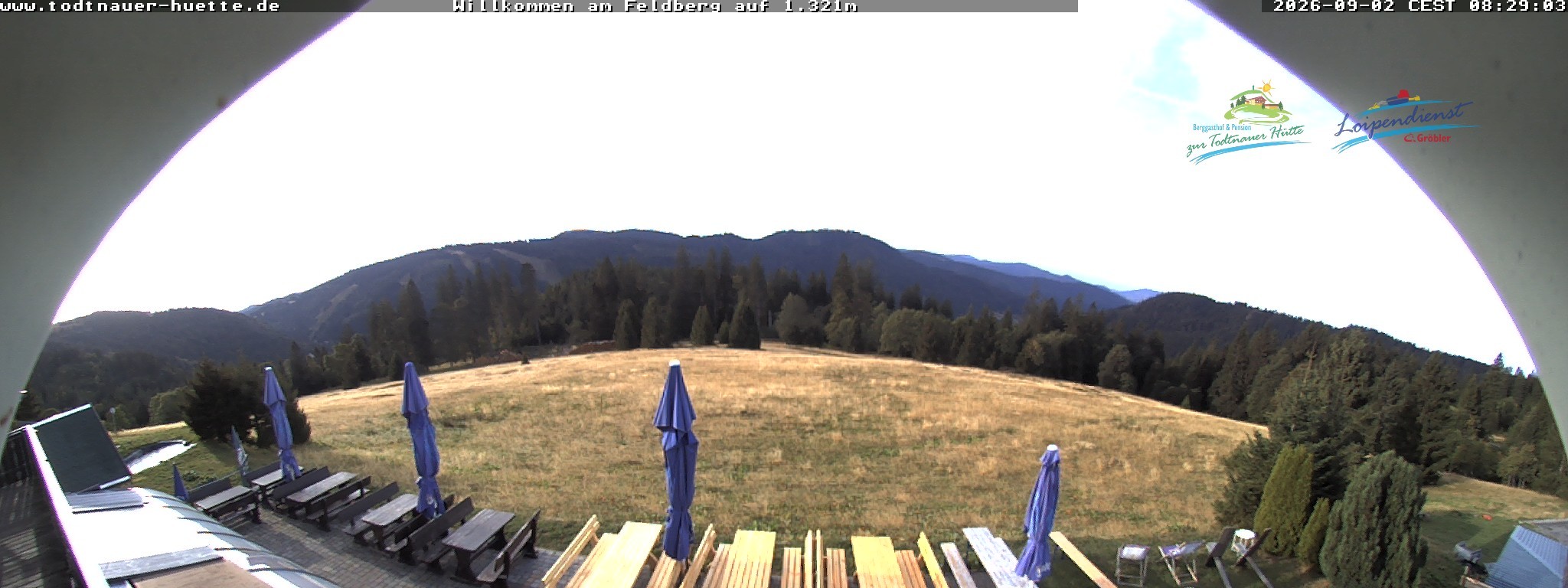 Archiv Foto Webcam Todtnauer Hütte, Schwarzwald