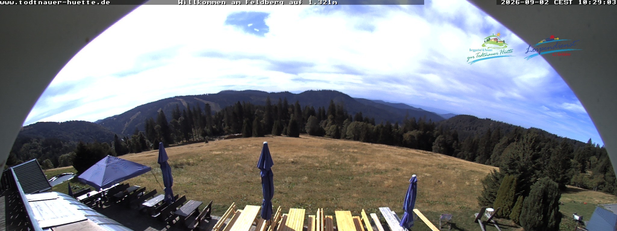 Archiv Foto Webcam Todtnauer Hütte, Schwarzwald