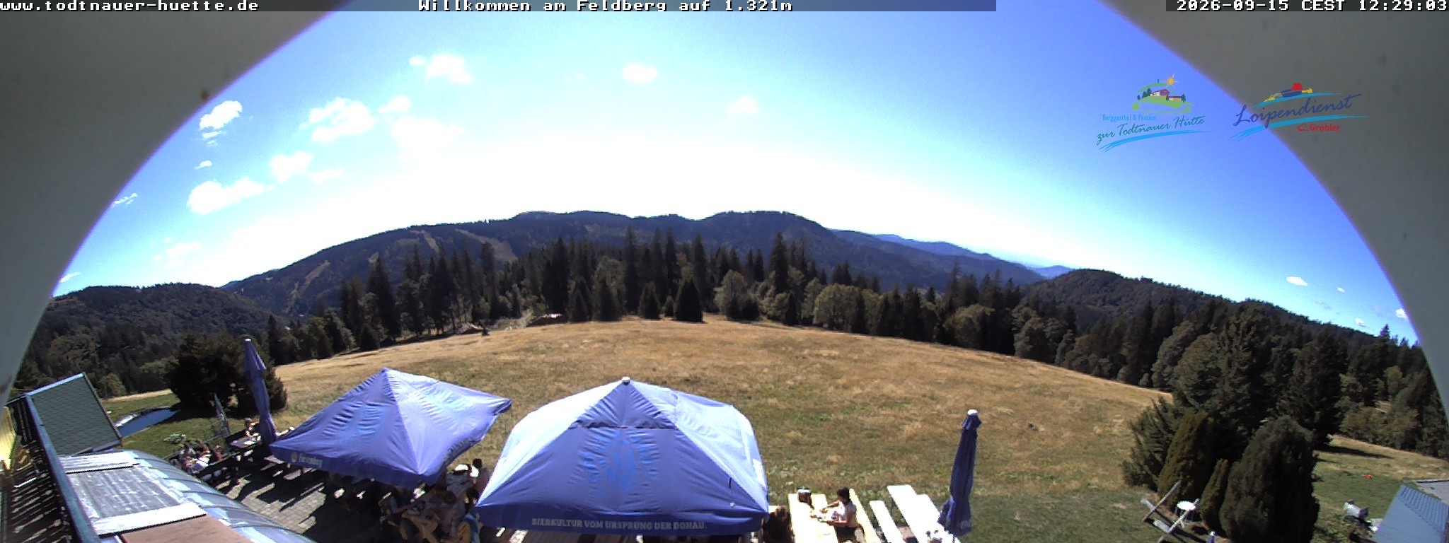 Archiv Foto Webcam Todtnauer Hütte, Schwarzwald